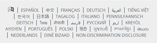 Highmark NDD Language Selector