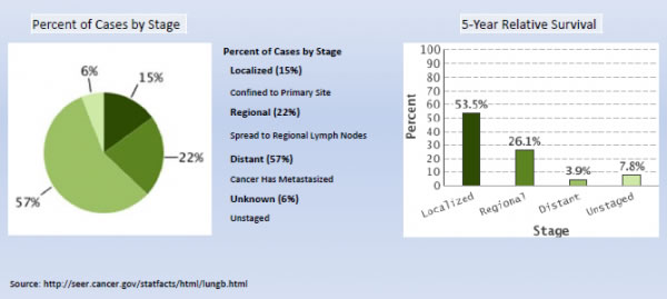 Lung Cancer Stage Survival
