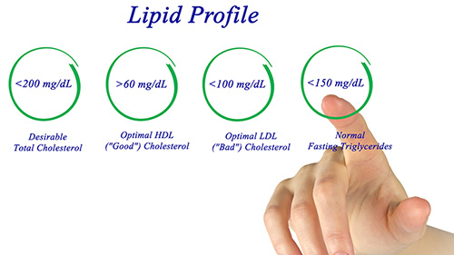 Lipid Profile