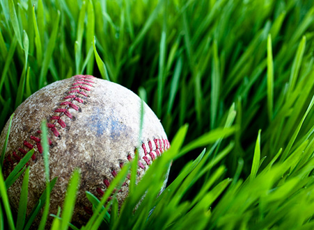 Closeup of a baseball in high grass