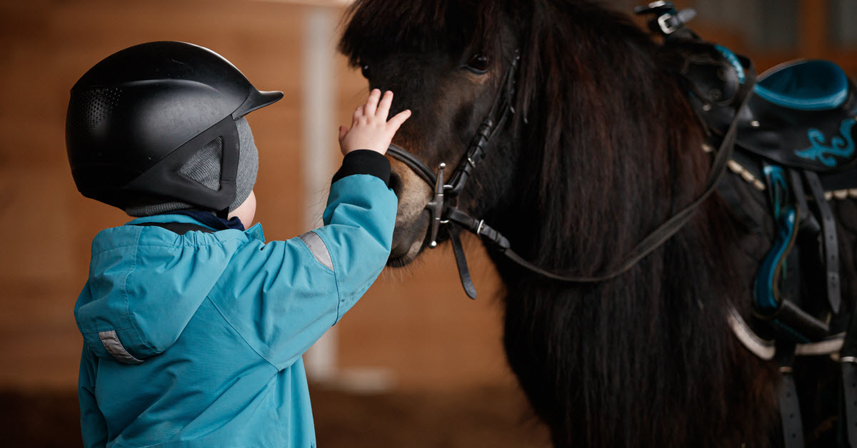 Horse riding, as well as grooming and care for a horse, can have therapeutic benefits for children with special needs.