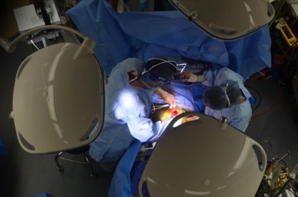 View from the observation room of the patient’s exposed heart