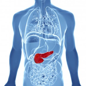 Pancreas